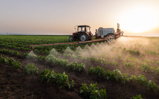 Best Commercial Pest Control Services  in Mundys Corner, PA