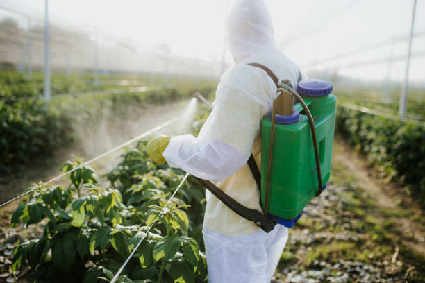 Best Pest Control Near Me  in Mundys Corner, PA
